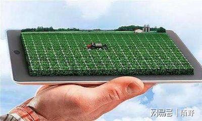 鄉(xiāng)村振興背景下數(shù)字農(nóng)業(yè)發(fā)展趨勢與實踐策略探析——聚焦智能農(nóng)業(yè)管理