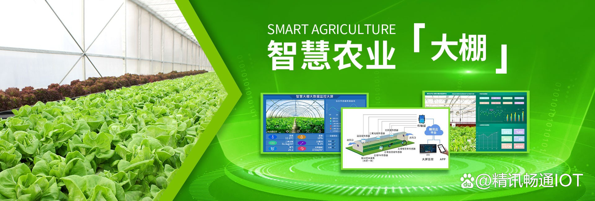 智慧農(nóng)業(yè) 開啟現(xiàn)代農(nóng)業(yè)新紀元——智能農(nóng)業(yè)管理