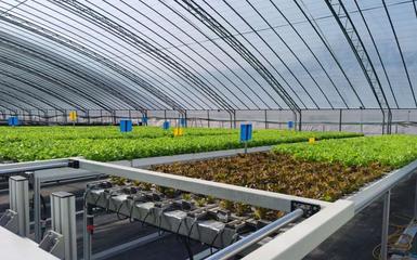 阿里云 智能農業的領航者，高科技助新農人畝產躍升六倍