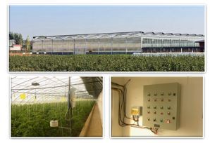 為了農業理想銷毀400萬農產品 元真梨背后的智能農業探索