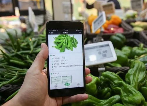 為什么要農產品溯源？一文為你解答智能農業管理