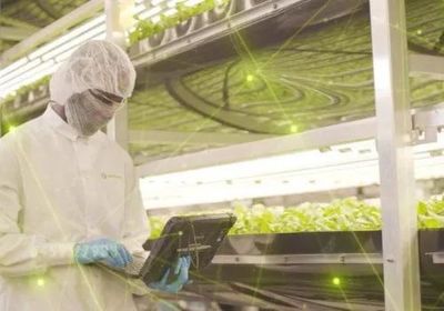 智慧農(nóng)業(yè)新浪潮 2021年全球九大植物工廠動態(tài)盤點(diǎn)與智能農(nóng)業(yè)管理趨勢