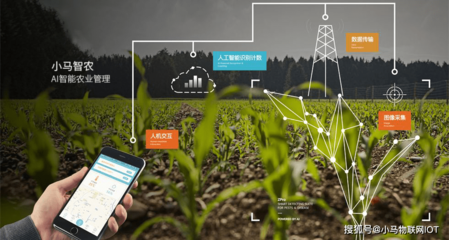 “智慧農(nóng)業(yè)”助力鄉(xiāng)村振興 智能農(nóng)業(yè)管理的變革與前景